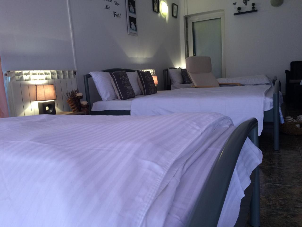 Casa Julius Hotel Konstanca Kültér fotó